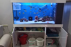Aquarium Zone image
