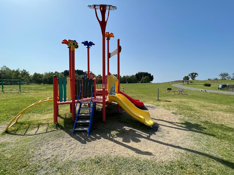 たにはま公園 多目的広場