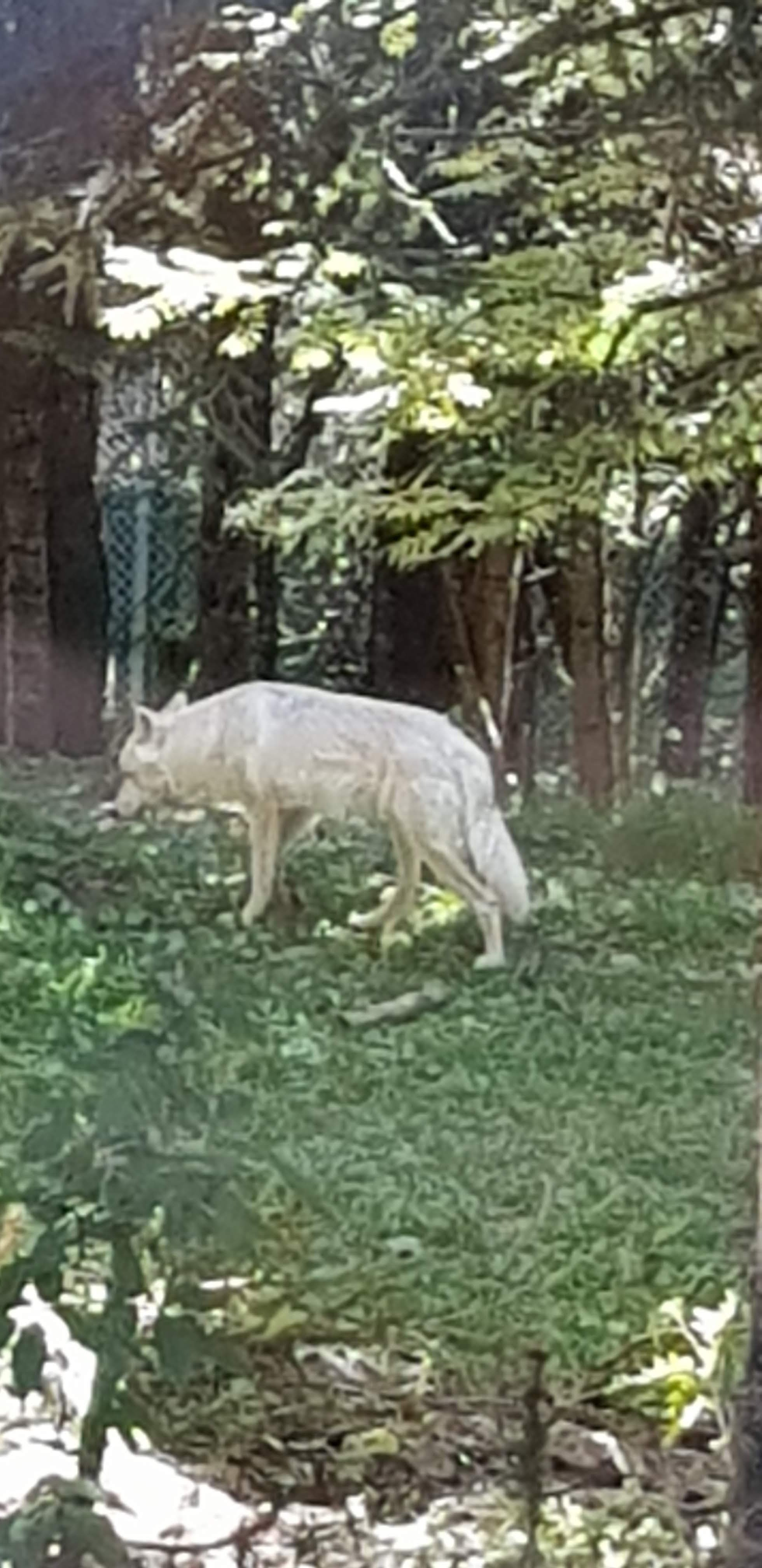 Photo n° 6 de l'avis de Valérie.n fait le 10/08/2020 à 17:42
