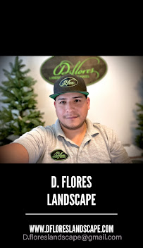 D Flores Landscape Services - Photo 7 - Car repair in Orange, CA, Orange