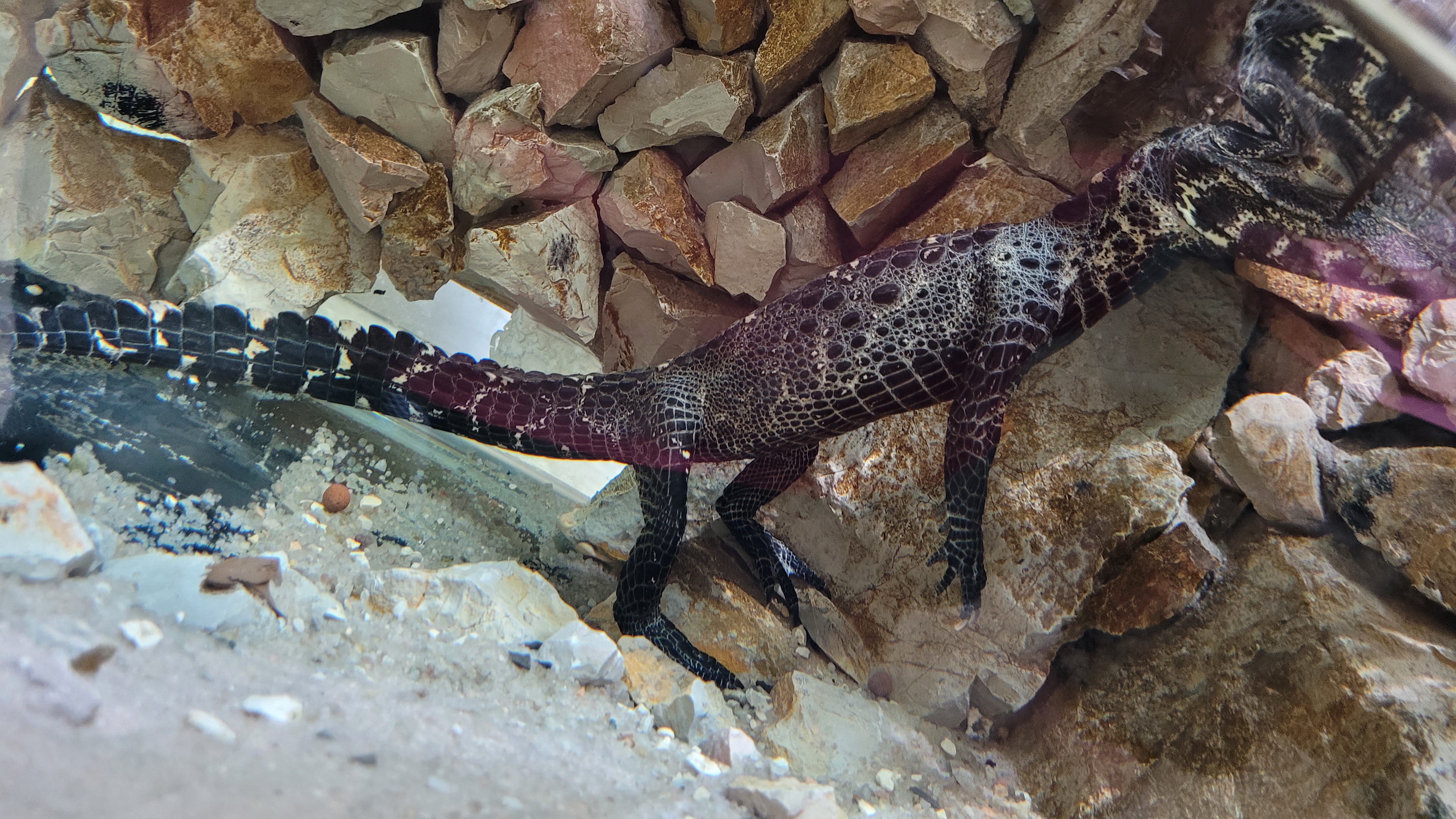 Photo n° 4 de l'avis de Guenaelle.l fait le 12/08/2022 à 06:36