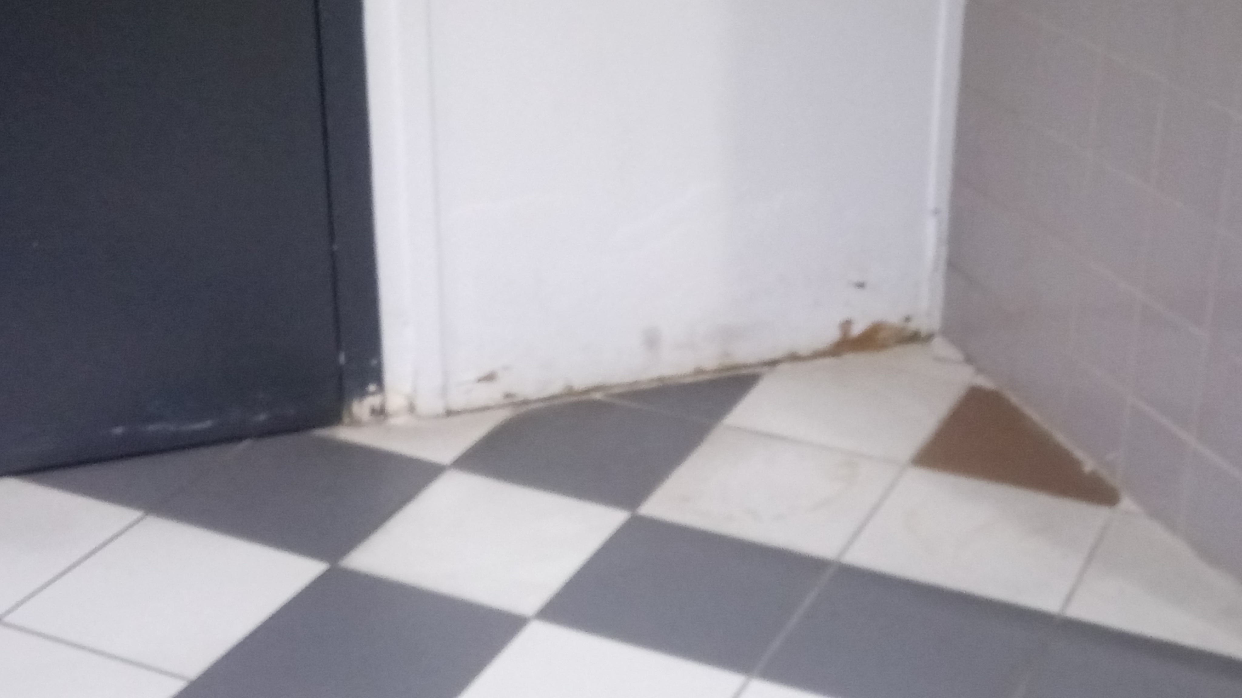Photo n° 5 de l'avis de Lola. fait le 23/01/2020 à 10:55