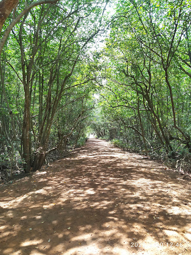 Top 20 cửa hàng play Huyện Cần Giờ Hồ Chí Minh 2022