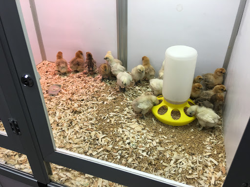 Pet Store «Pet City Pet Shops», reviews and photos, 750 Citadel Dr N # 2092, Colorado Springs, CO 80909, USA