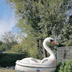 Photo n°5 de l'avis de Ute.h fait le 14/10/2022 à 14:35 sur le  Bootshaus Gießen à Giessen