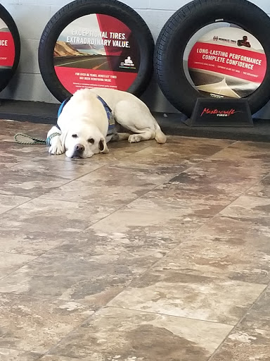 North Highlands Tire Pros image