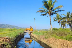 Puchakkari Wetlands and Paddy Field image