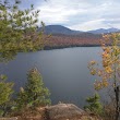 Silver Lake Bog Preserve