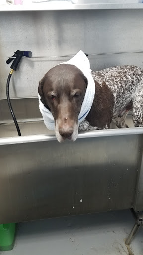 Pet Supply Store «Croton Pet Station», reviews and photos, 420 S Riverside Ave, Croton-On-Hudson, NY 10520, USA
