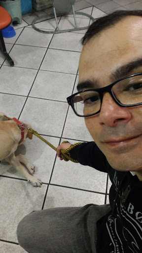 Clínica Veterinaria Nova Cão Peão em São Paulo - SP