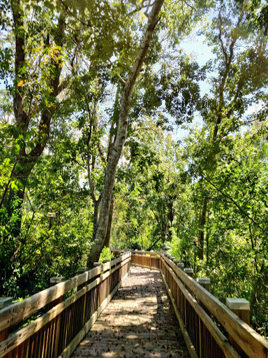 Golf Course «Celebration Golf Club», reviews and photos, 701 Golfpark Dr, Kissimmee, FL 34747, USA