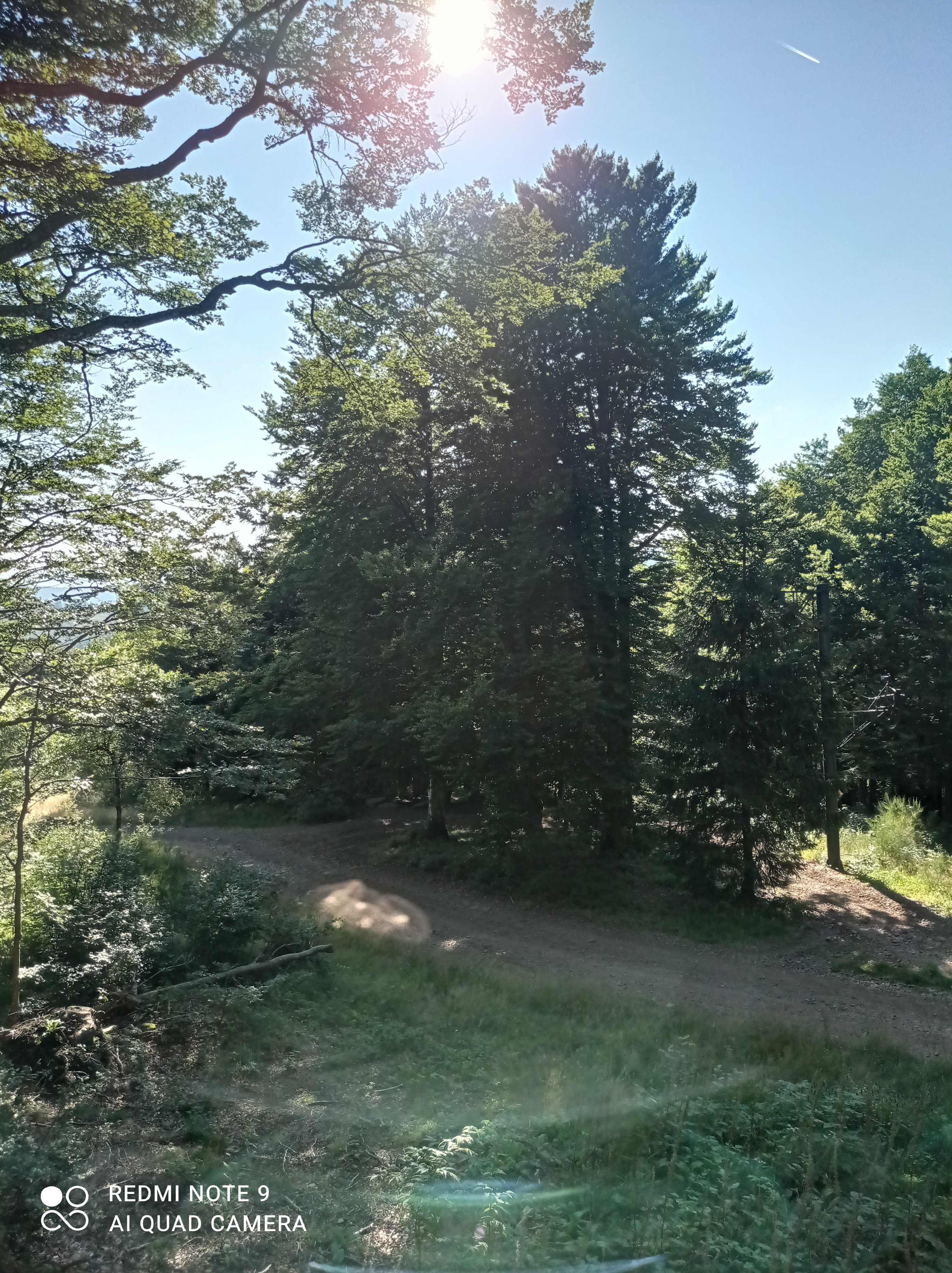 Photo n° 3 de l'avis de LUCA.E fait le 02/09/2021 à 06:57