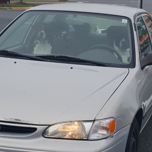 Discount Store «Big Lots», reviews and photos, 9977 Pulaski Hwy, Middle River, MD 21220, USA