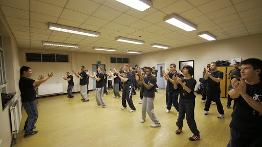 Leo Wing Chun Chinese Kung Fu