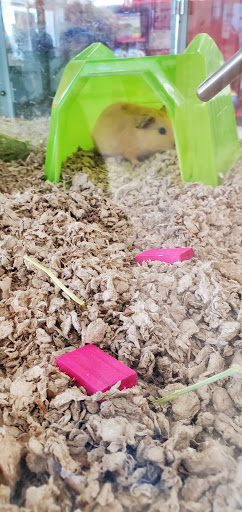 Pet Supply Store «Petco Animal Supplies», reviews and photos, 473 State Rd, North Dartmouth, MA 02747, USA