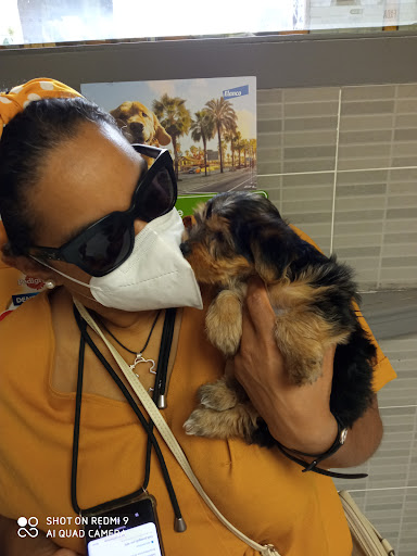 Clínica Veterinaria Badalona en Badalona