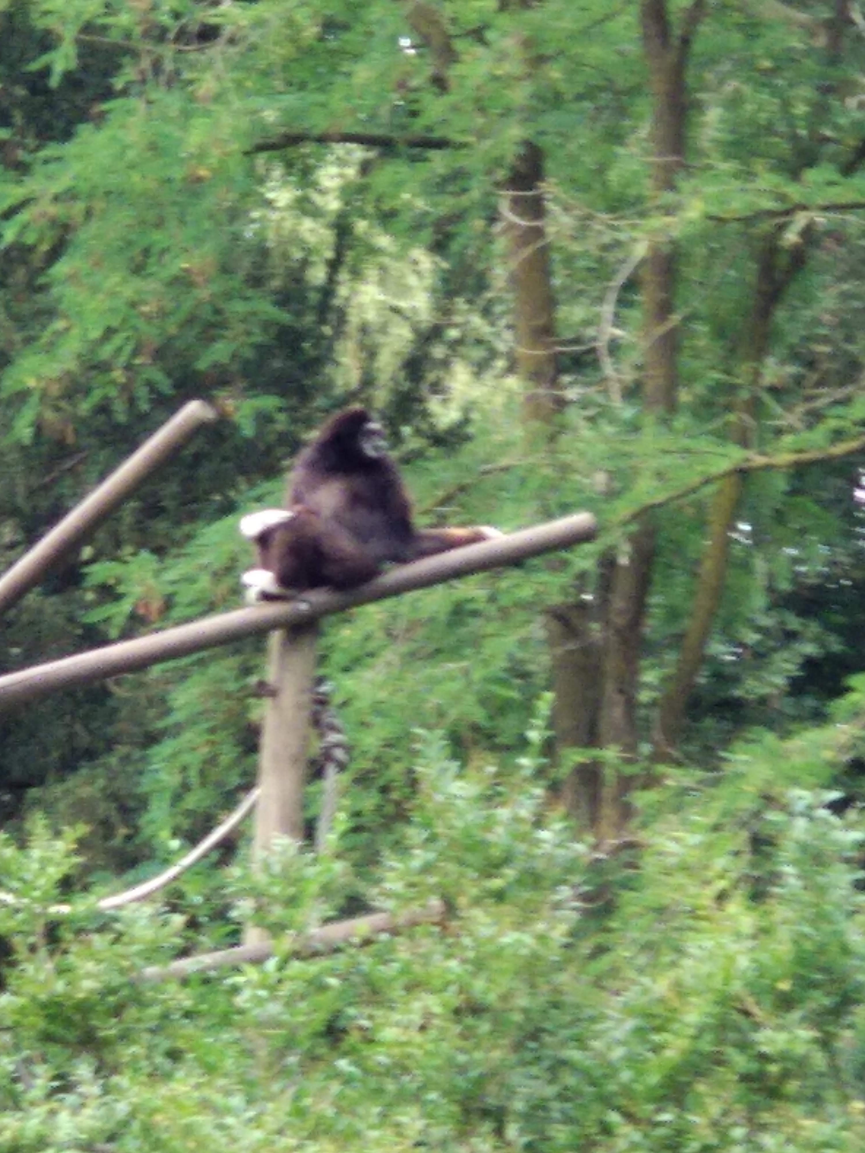 Photo n° 8 de l'avis de Xavier. fait le 10/08/2018 à 16:35