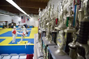US Taekwondo College image