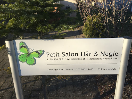 Petit Salon in Roskilde, Roskilde