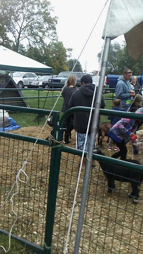 Discount Store «Dollar General», reviews and photos, 124 W Pike St, Houston, PA 15342, USA