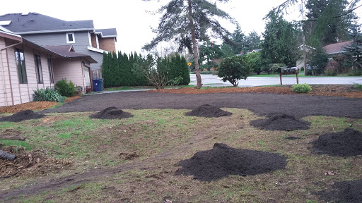 Park «Mark Twain Park», reviews and photos, 10625 132nd Ave NE, Kirkland, WA 98033, USA