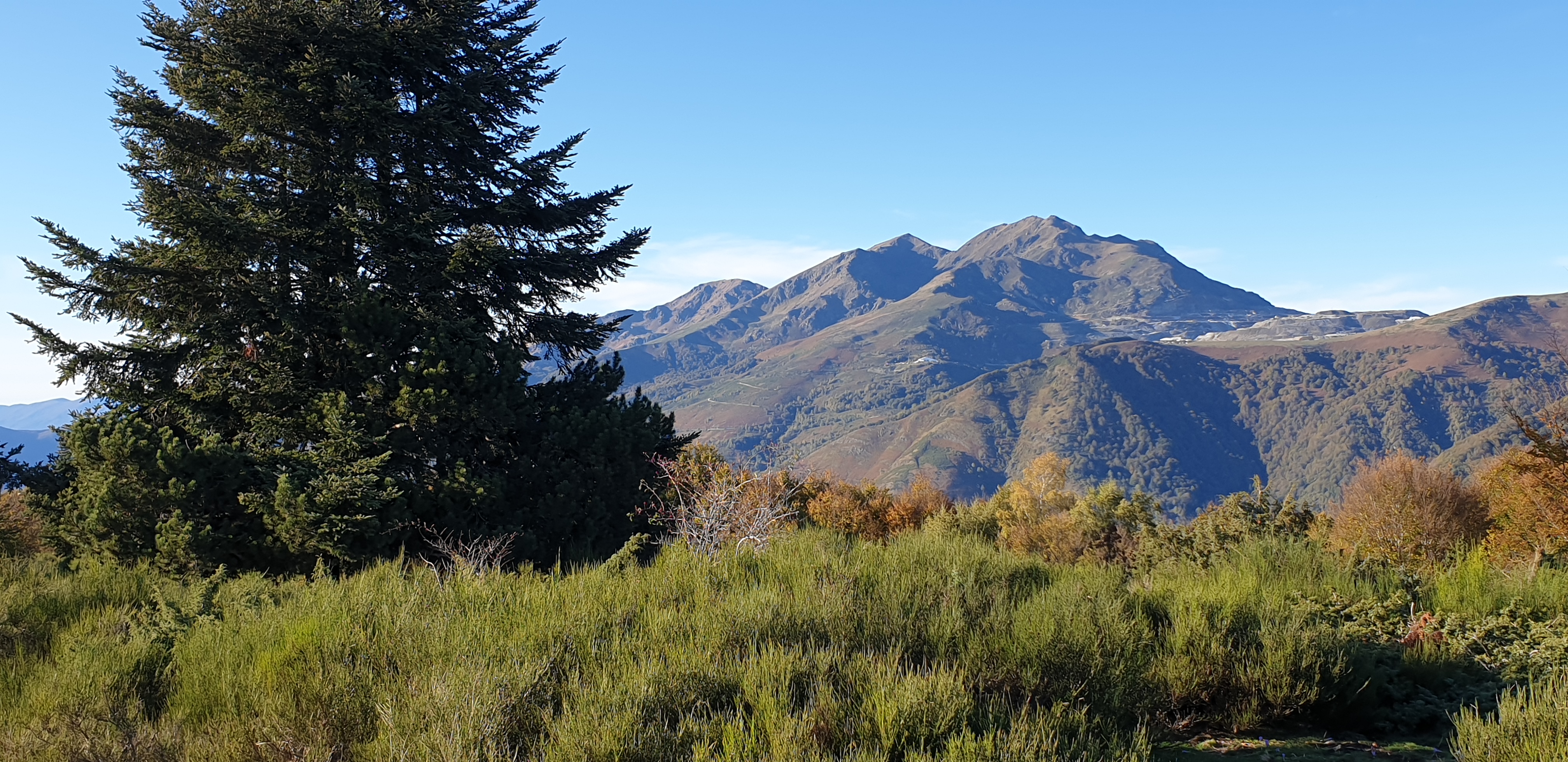 Photo n° 6 de l'avis de Jul. fait le 03/12/2019 à 22:53