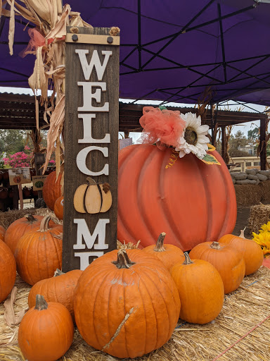 Insurance Agency «Rick Douglas - State Farm Insurance Agent», reviews and photos