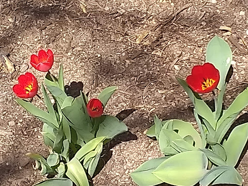 Park «Vermijo Park», reviews and photos, 2601 W Vermijo Ave, Colorado Springs, CO 80904, USA