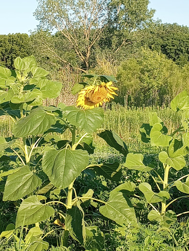 Nature Preserve «Oakhurst Forest Preserve», reviews and photos, 1680 5th Ave, Aurora, IL 60504, USA