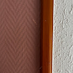 Photo n°4 de l'avis de Devin.. fait le 02/07/2023 à 16:44 sur le  Heidehotel Soltauer Hof à Soltau