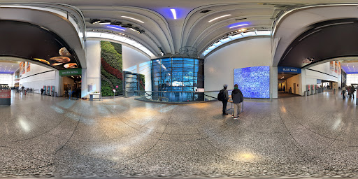 Science Museum «Museum of Science», reviews and photos, 1 Science Park, Boston, MA 02114, USA