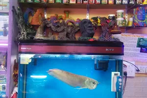 The Fish World Aquarium pet shop image