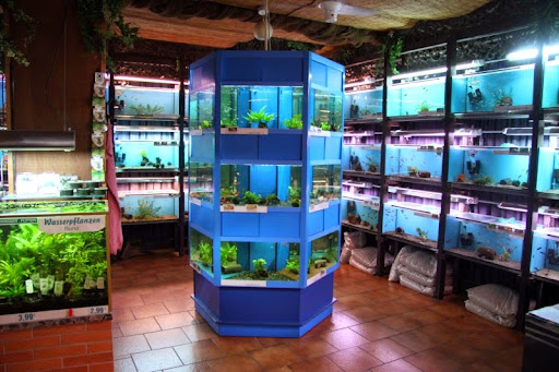 Zoo-Skalar unter Zwönitz, 