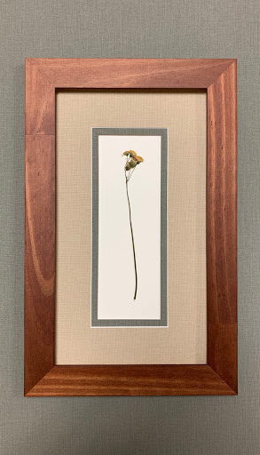 Picture Frame Shop «Home Port Gallery», reviews and photos, 6170 US-41, Apollo Beach, FL 33572, USA