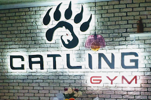 Catling Gym fitness тренажерный зал image