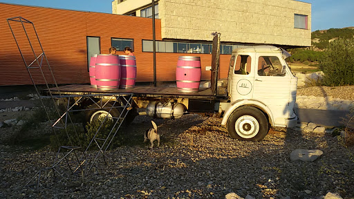 Tinto Burgos, Escuela en Pesquera de Duero,Valladolid