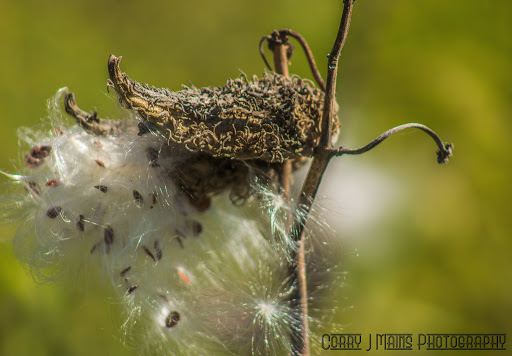 Nature Preserve «Audubon Center at Riverlands», reviews and photos, 301 Riverlands Way, West Alton, MO 63386, USA