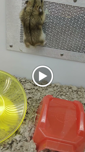 Petco image