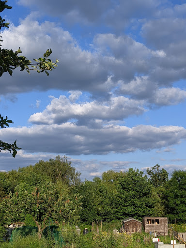 Raeburn Avenue Allotments