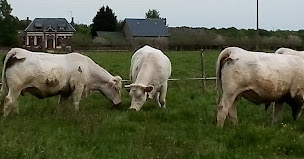 Photo n°2 de G.A.E.C. Mettais à Hectomare ()