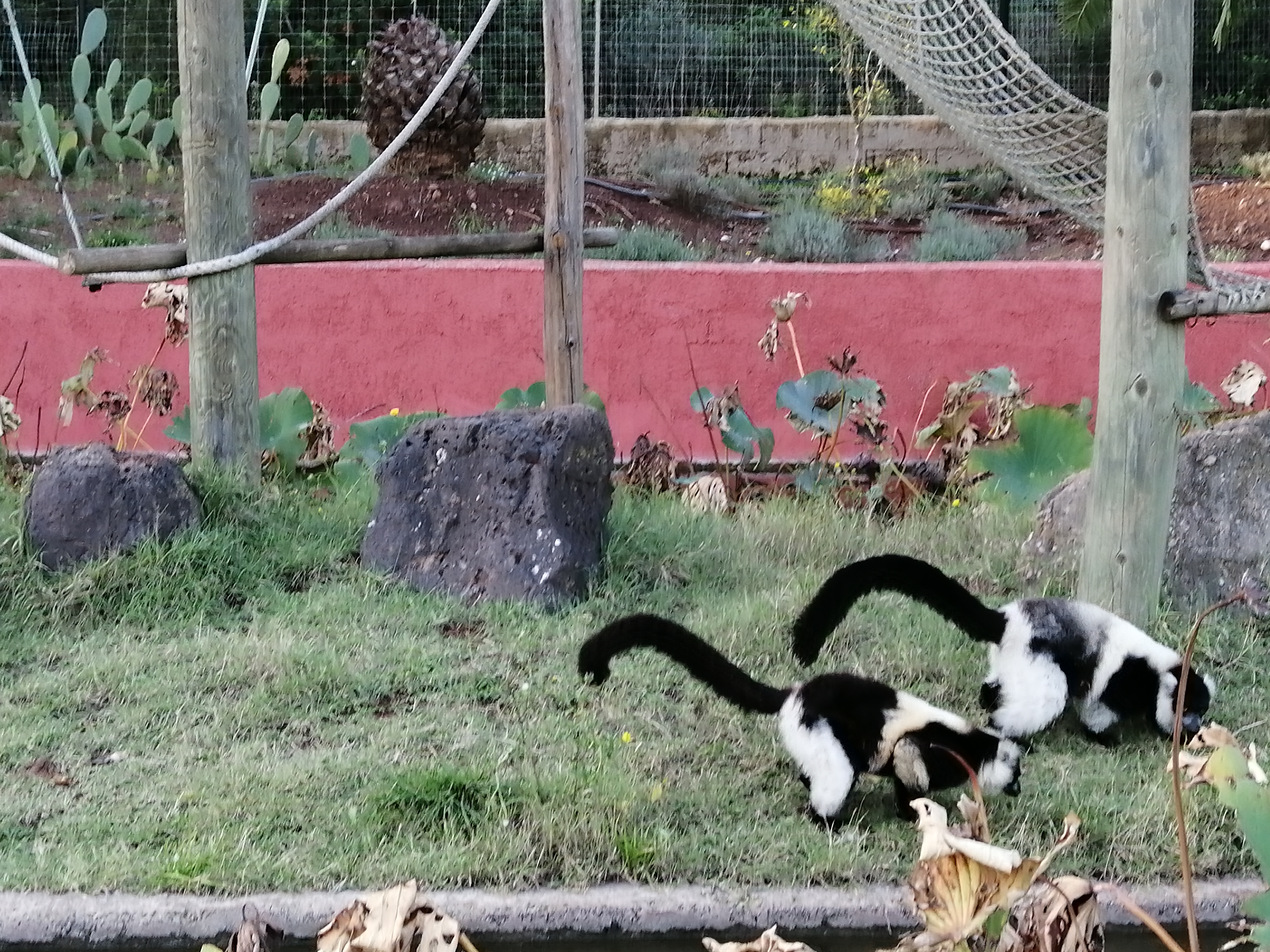 Photo n° 5 de l'avis de remy.e fait le 25/10/2019 à 16:38