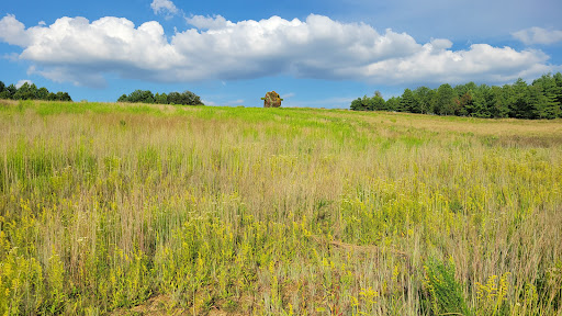 Modern Art Museum «Glenstone», reviews and photos, 12002 Glen Rd, Potomac, MD 20854, USA