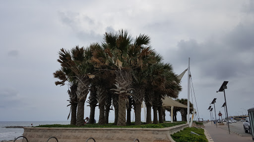 Amusement Park «Galveston Island Historic Pleasure Pier», reviews and photos, 2501 Seawall Blvd, Galveston, TX 77550, USA