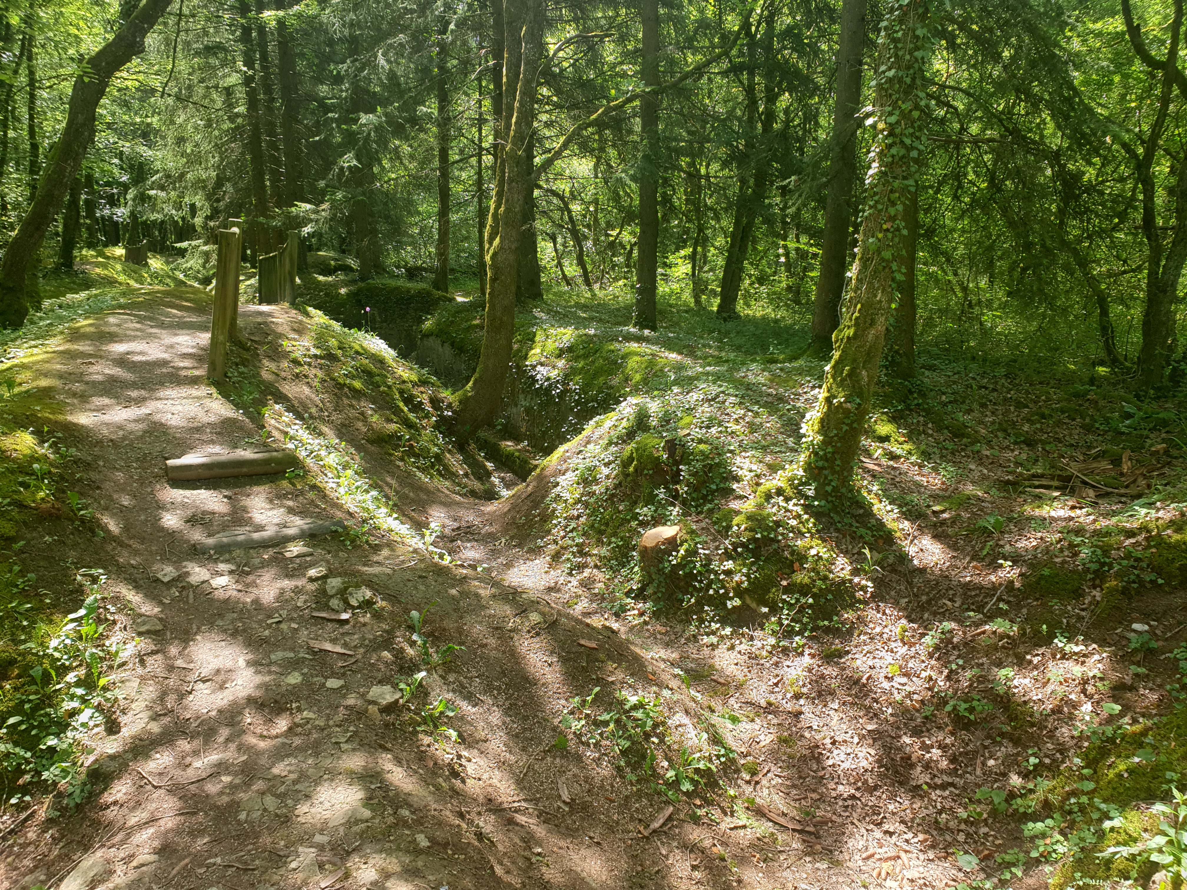 Photo n° 3 de l'avis de Enzo.N fait le 18/06/2019 à 13:55