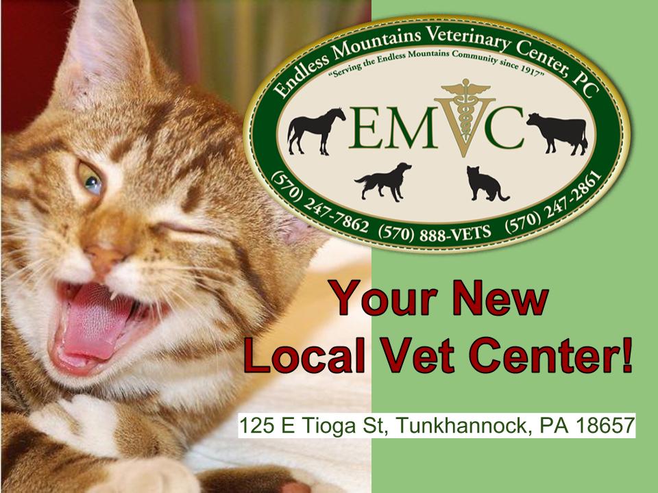 Endless Mountains Veterinary Center, PC