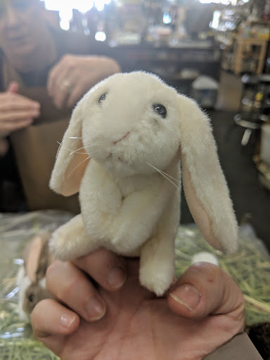 Pet Supply Store «Concord Feed Pet & Livestock Supplies», reviews and photos, 228 Hookston Rd, Pleasant Hill, CA 94523, USA