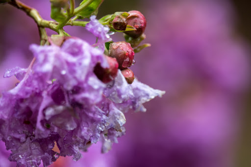 Park «Haltom Rd Park», reviews and photos, 3113 Haltom Rd, Haltom City, TX 76117, USA