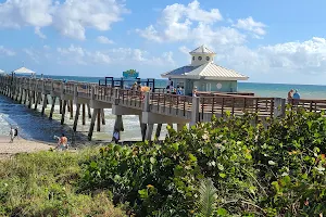 Juno Beach Park image