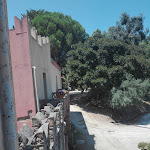 Photo n°7 de l'avis de Girolamo.o fait le 13/08/2019 à 20:37 sur le  Agriturismo Fattoria di Grenne à Ficarra