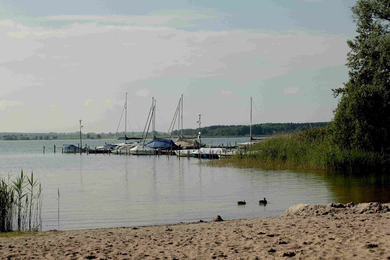 Zdjęcie Silz Strand z powierzchnią turkusowa czysta woda